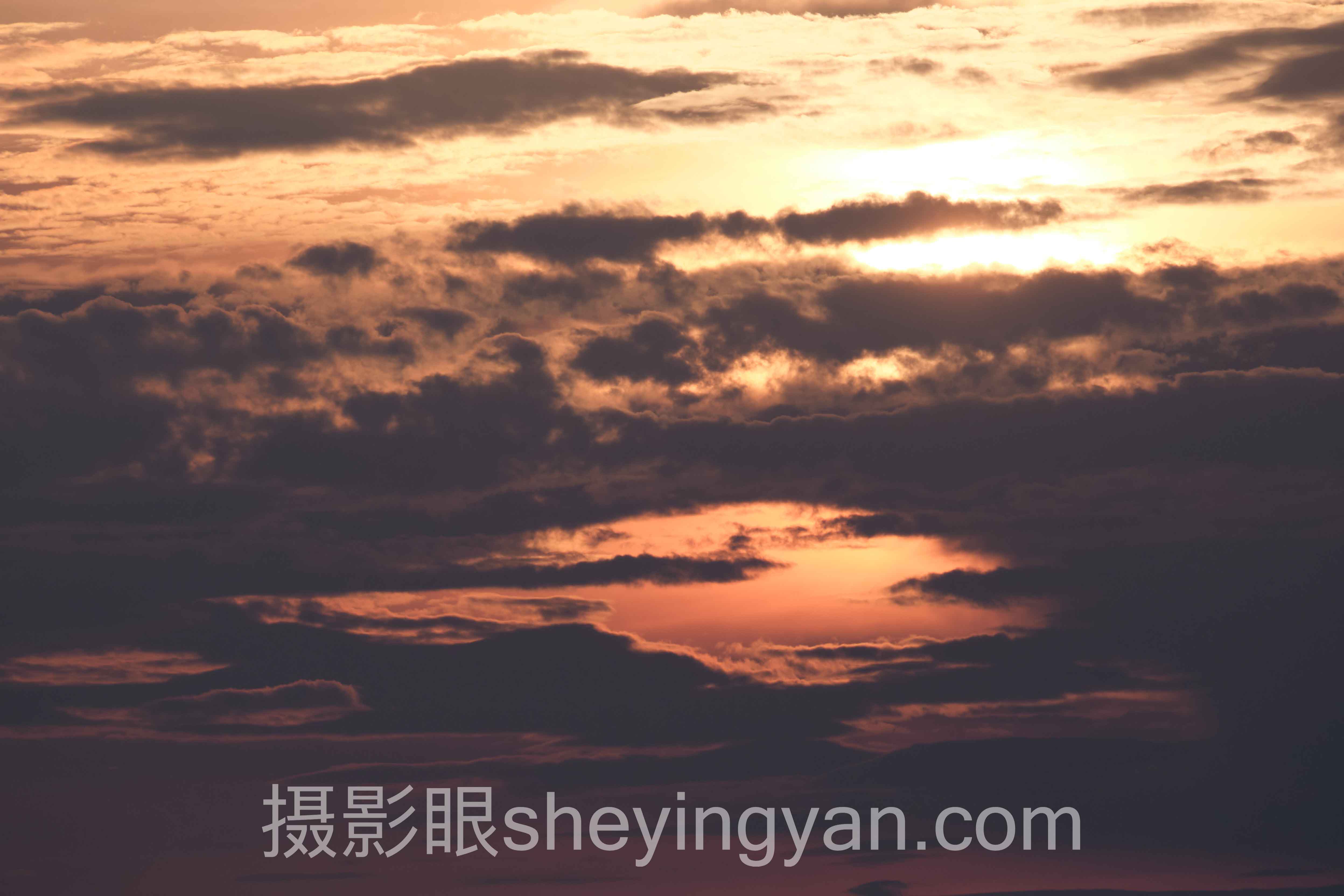照片点评深度评测：5种AI打分与人工评照片方式全面解析