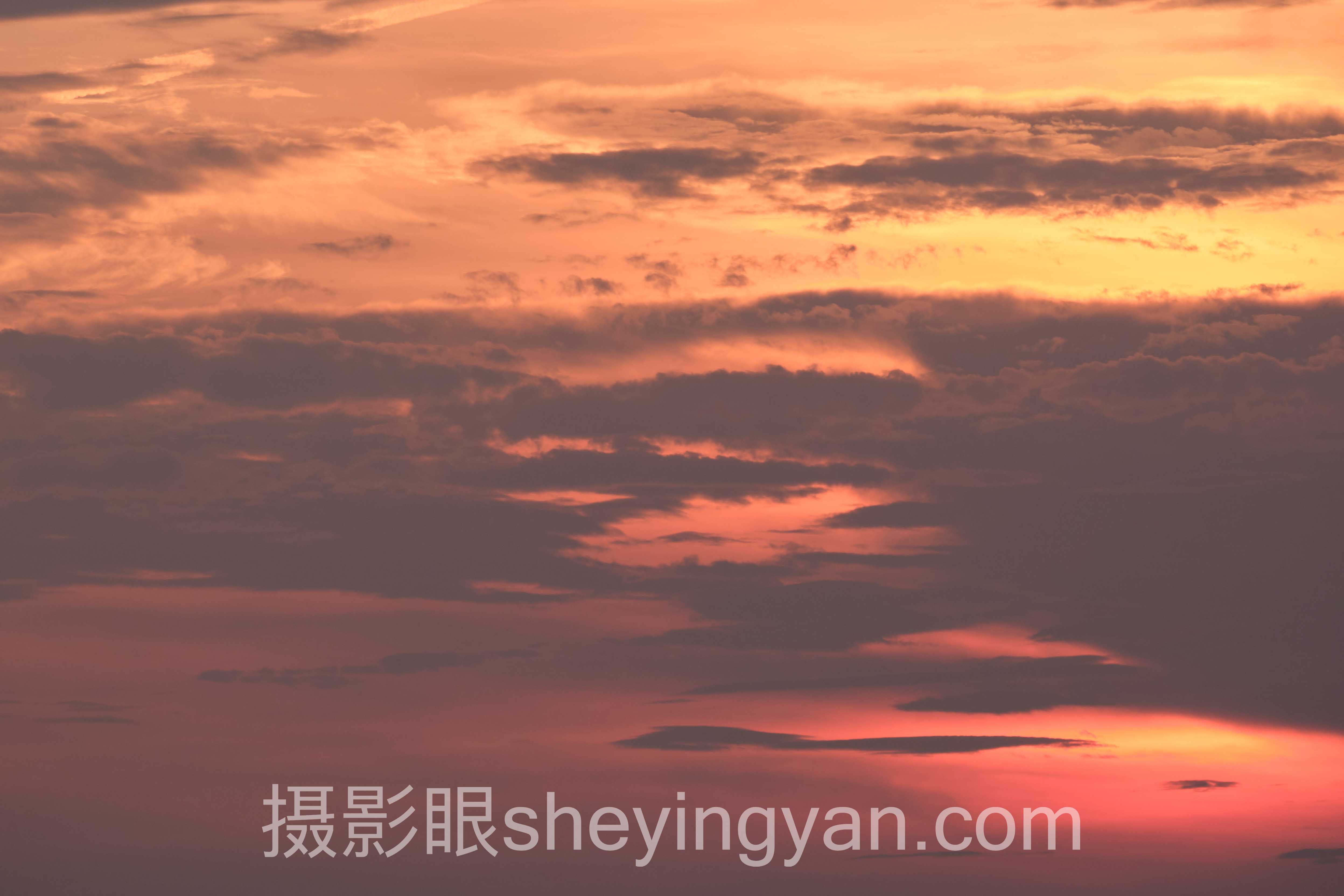 深度解析：摄影眼官网入口的正确打开方式与照片点评核心价值